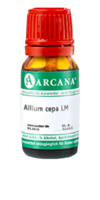 ALLIUM CEPA LM 1 Dilution