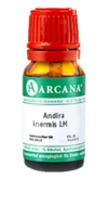 ANDIRA inermis LM 4 Dilution