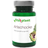 ARTISCHOCKE 500 mg Extrakt Vitalplant Kapseln