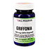 GRIFFONIA 100 mg GPH Kapseln