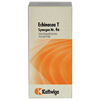 SYNERGON KOMPLEX 4a Echinacea T Tabletten