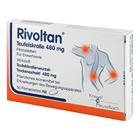 RIVOLTAN Teufelskralle 480 mg Filmtabletten