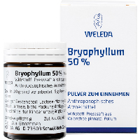 BRYOPHYLLUM 50% Pulver zum Einnehmen