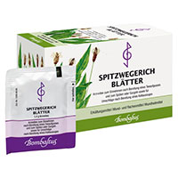 SPITZWEGERICHBLÄTTER Filterbeutel