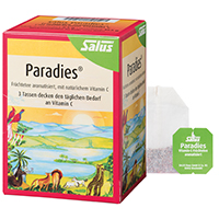 PARADIES Vitamin C-Früchtetee Salus Filterbeutel