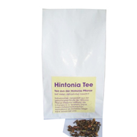 HINTONIA Tee