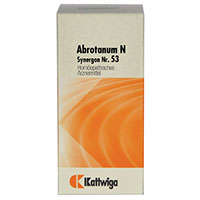 SYNERGON KOMPLEX 53 Abrotanum N Tabletten