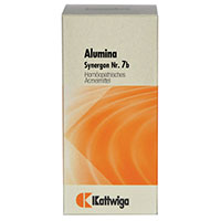 SYNERGON KOMPLEX 7b Alumina Tabletten