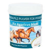 AGARICUS BLAZEI Bio Vitalpilzpulver für Tiere