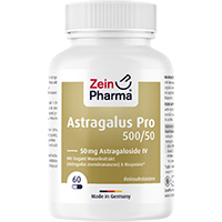 ASTRAGALUS PRO 500/50 50 mg Astragaloside IV Kaps.