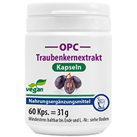 OPC TRAUBENKERNEXTRAKT+Vitamin C Kapseln